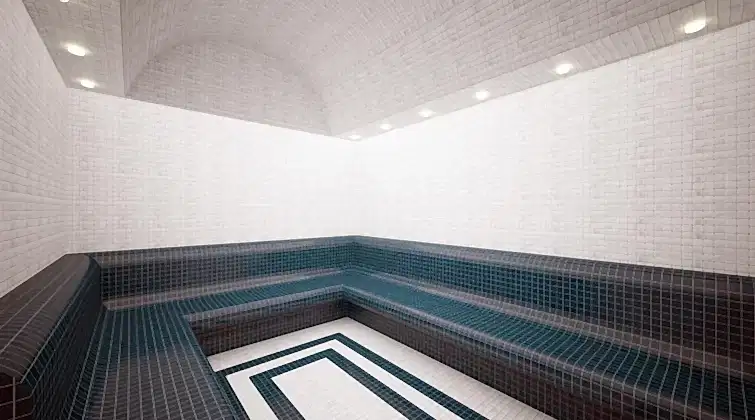 Buhar Odası Uygulamaları